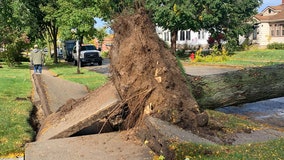 After Milwaukee County tornado warning, storm damage cleanup begins