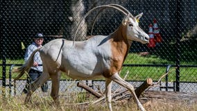 Milwaukee County Zoo: New animals welcomed to family
