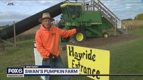 Fall adventures at Swan's Pumpkin Farm