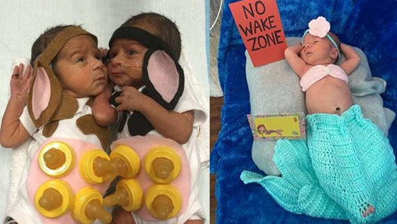 Preemies dress up for Halloween; mermaid, cute cows for the win