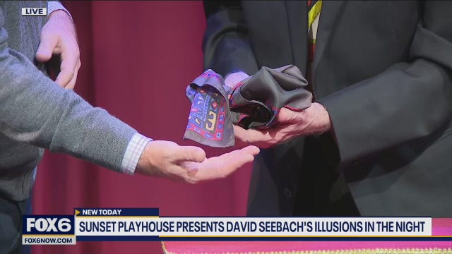 David Seebach: Illusions In The Night show