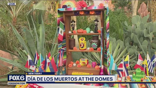 Mitchell Park Domes Día de los Muertos celebration