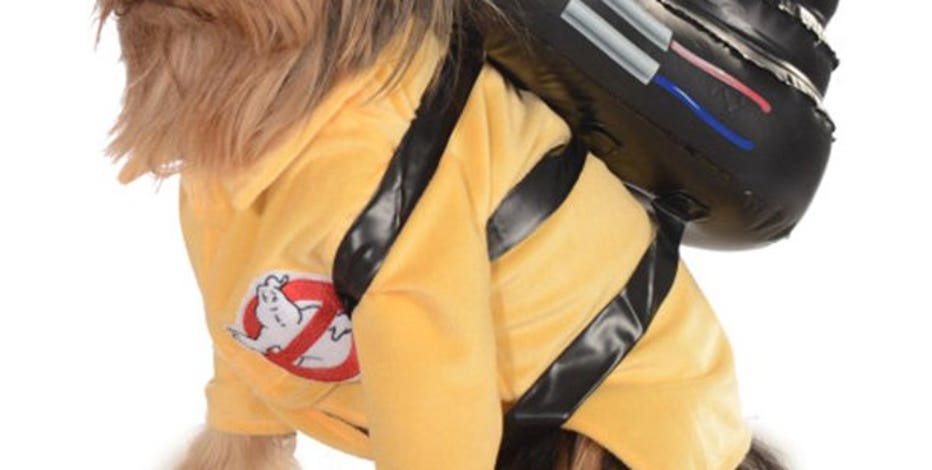 clown platter dog costume