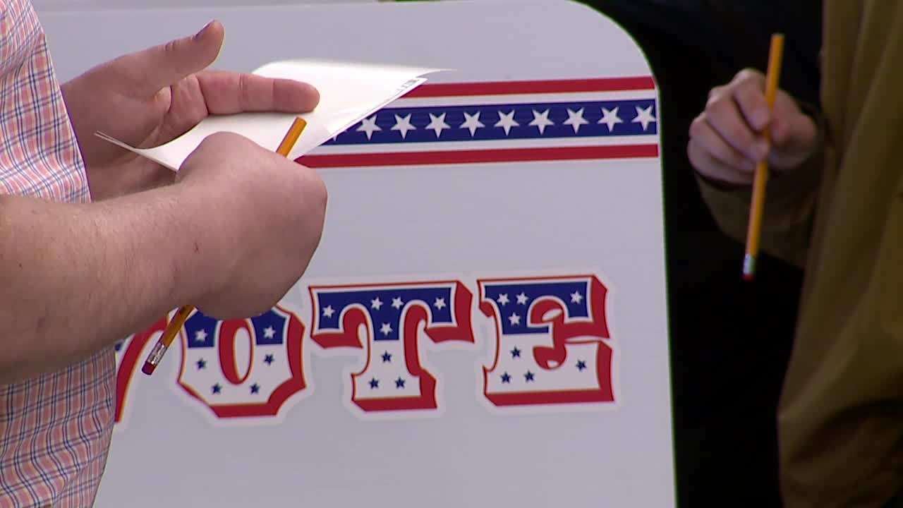 Wisconsin midterms: Voter anxiety high, how to cope - Vimarsana News