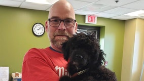 Dog electrocuted by Milwaukee pole, owner says: 'I'm freaking out'