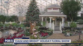 'Calm and Bright' holiday floral show at the Domes