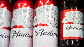 World Cup 2022: Budweiser finds alternative idea for beer surplus following alcohol ban