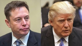 Musk reinstates Trump's Twitter account after holding online vote