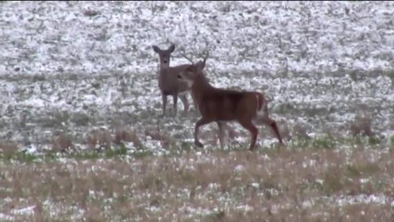 Wisconsin hunting, fishing licenses; Assembly OKs out-of-state fee hike