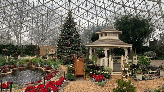 Mitchell Park Domes holiday floral show 'Calm & Bright' theme