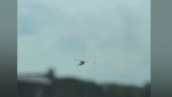 Dangerous debris: Contact 6 helps driver get money for repairs