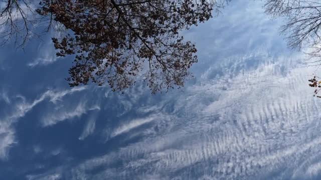 November's near-record warmth draws Wisconsinites outdoors