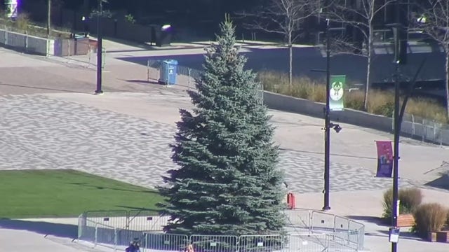 City of Milwaukee Christmas tree harvested Tuesday