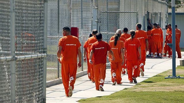 California releases thousands of pedophiles less than year after their convictions, data shows