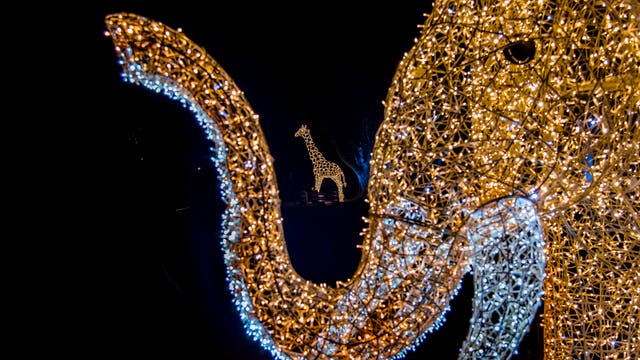 Milwaukee County Zoo illuminating event returns: Wild Lights
