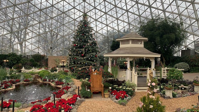 Mitchell Park Domes holiday floral show 'Calm & Bright' theme
