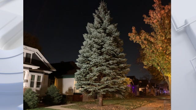 2023 City of Milwaukee Christmas tree; DPW accepting nominations