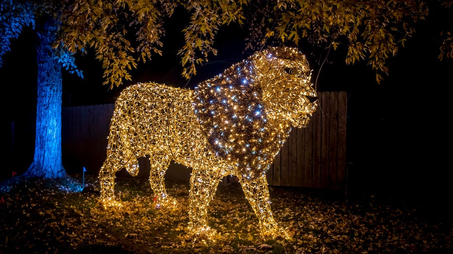 Milwaukee County Zoo illuminating event returns Wild Lights FOX6