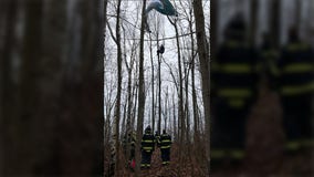 Paraglider rescued, Lion's Den in Grafton