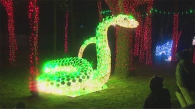 Milwaukee County 'Zoo Year's Eve Wild Lights' caps 2022