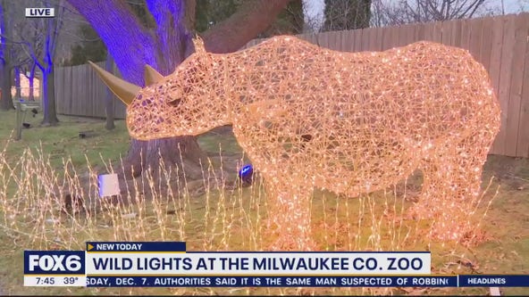 Wild Lights at the Zoo; an illuminated destination