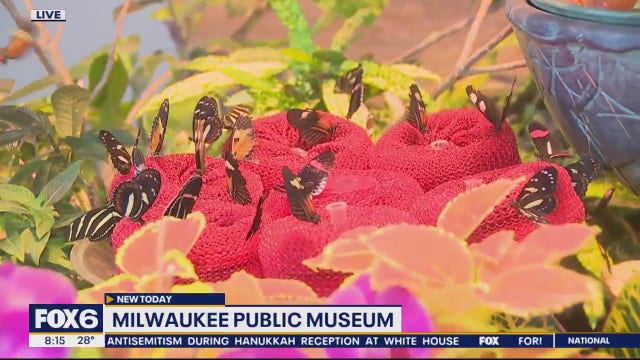 Streets Of Old Milwaukee at Milwaukee Public Museum