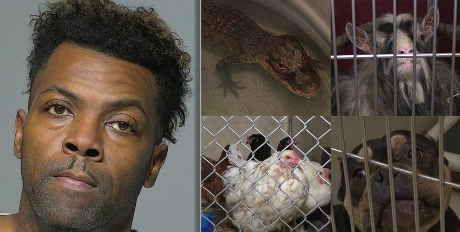 Animals seized from Milwaukee home, man sentenced after 100+ found