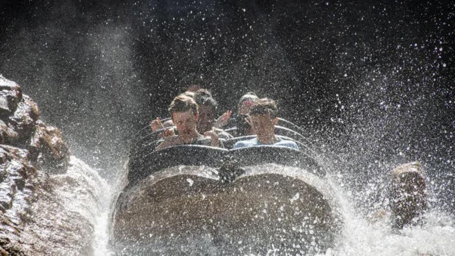 walt-disney-world-splash-mountain-getty.jpg