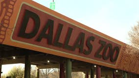 Police investigating 'suspicious' death of vulture at Dallas Zoo