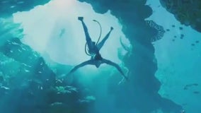 'Avatar' breaks another record