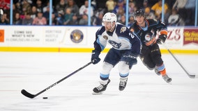 Admirals shut out, Gulls prevail in Milwaukee