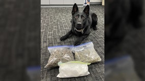 Fond du Lac cocaine, marijuana bust; 2 arrested