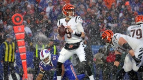 NFL playoffs: Bengals win streak hits 10, 49ers also advance