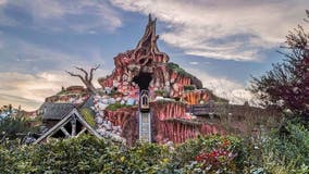 People are selling Disney's Splash Mountain water on eBay after ride permanently closed