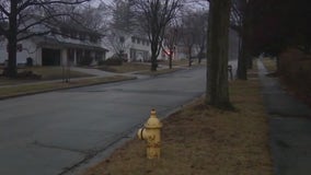 Cedarburg backyard black bear sighting investigated by police