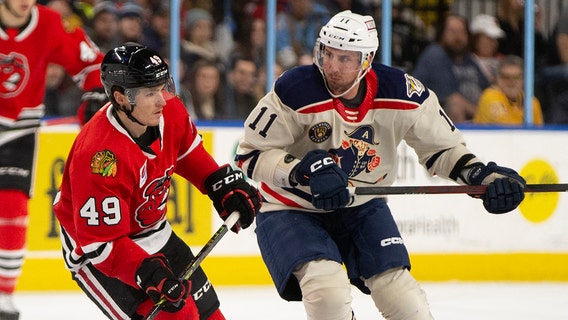 Milwaukee Admirals beat Rockford IceHogs at home