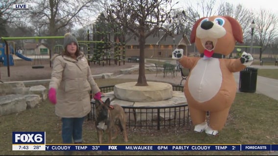 Dog Days of Winter in Thiensville; winter fun with furry friends