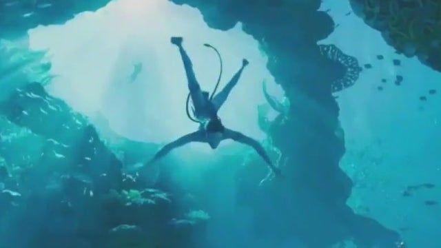 'Avatar' breaks another record