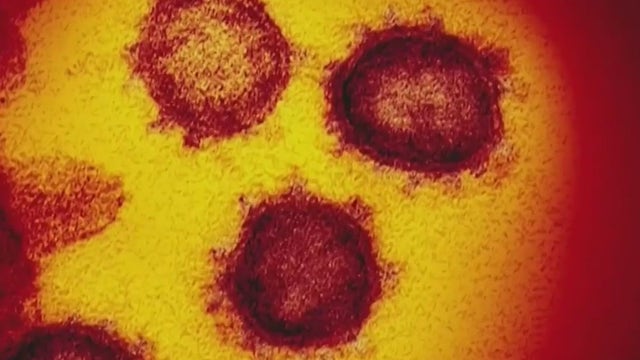 COVID-19: Omicron subvariant XBB, what you need to know