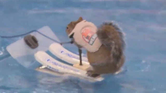 The Milwaukee Boat Show is going on through Sunday