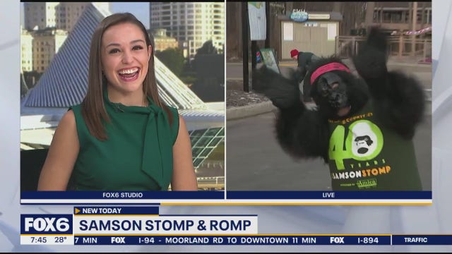 Samson Stomp & Romp: Race to support Milwaukee County Zoo animals