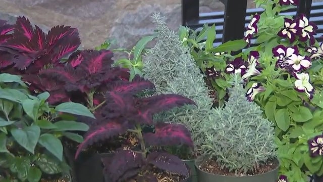 Mitchell Park Domes; 2023 events, shows