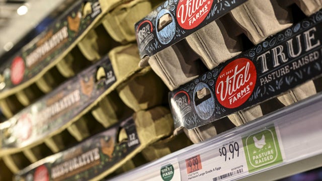 US farm group calls for probe of high egg prices