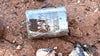 Tiny but dangerous radioactive capsule that fell off truck in Australia found