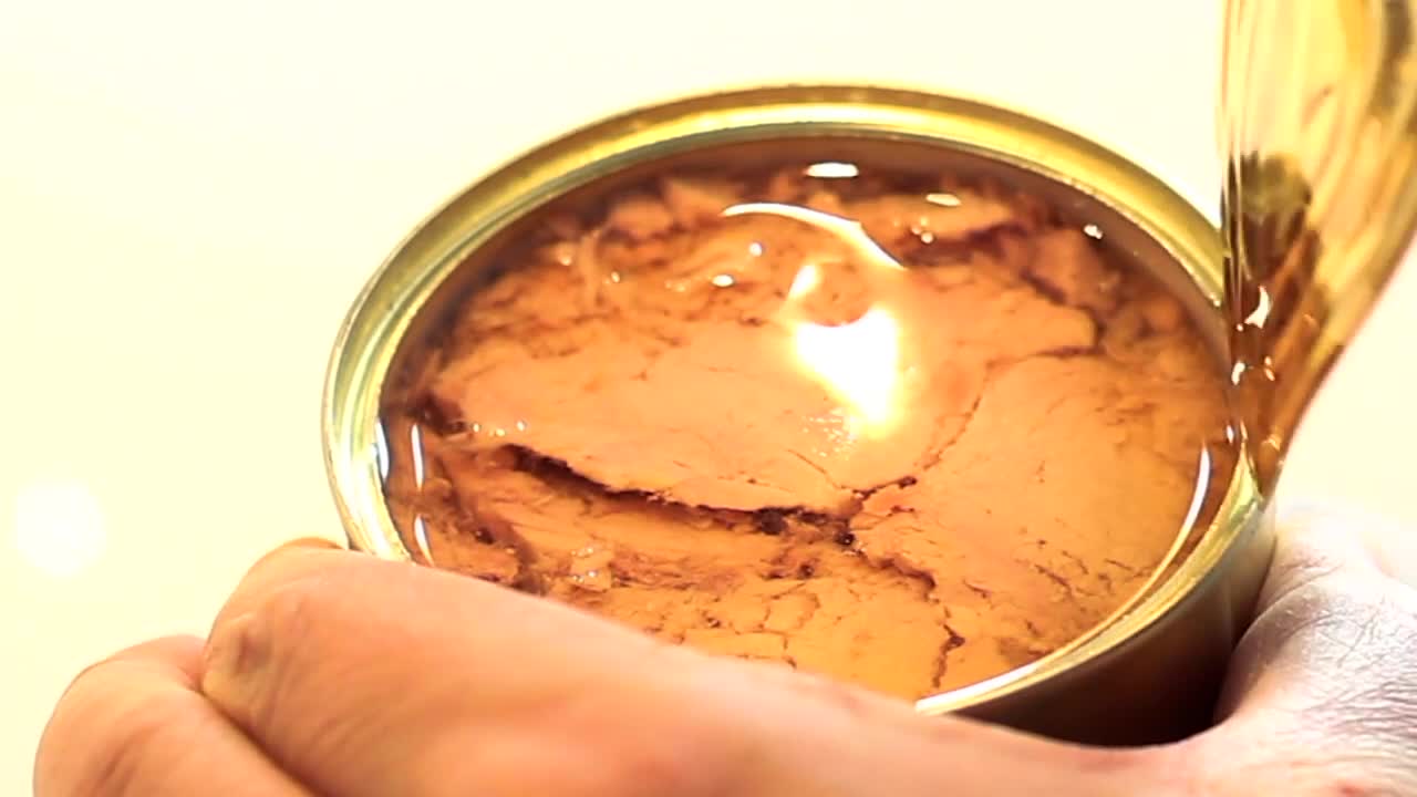 Testing for mercury in tuna FOX6 Milwaukee