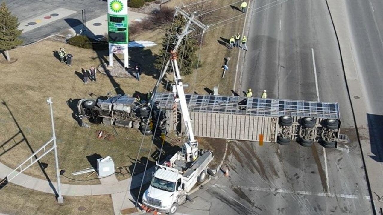 Bellevue Rollover Crash, 41 Cows On Board