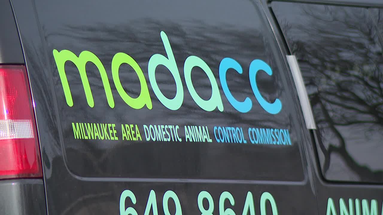 MADACC new adoption promotions, 'we are hoping this helps' - Vimarsana News