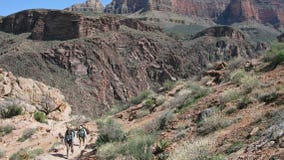 Wisconsin man dies while hiking Grand Canyon trail