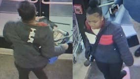 Menomonee Falls Five Below theft, 2 sought