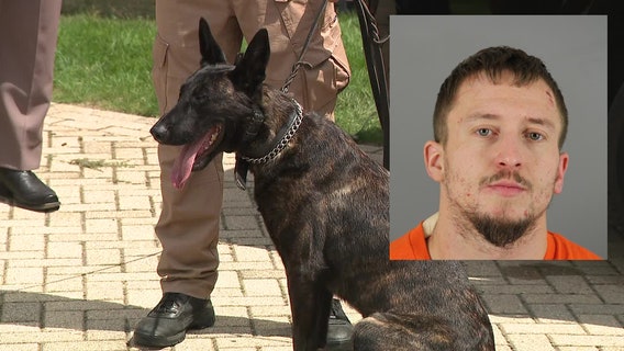 Janesville man kicked Waukesha County K-9 'devil dog:' complaint